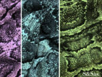 7-PRINTED-FABRICS-scaled-1.jpg