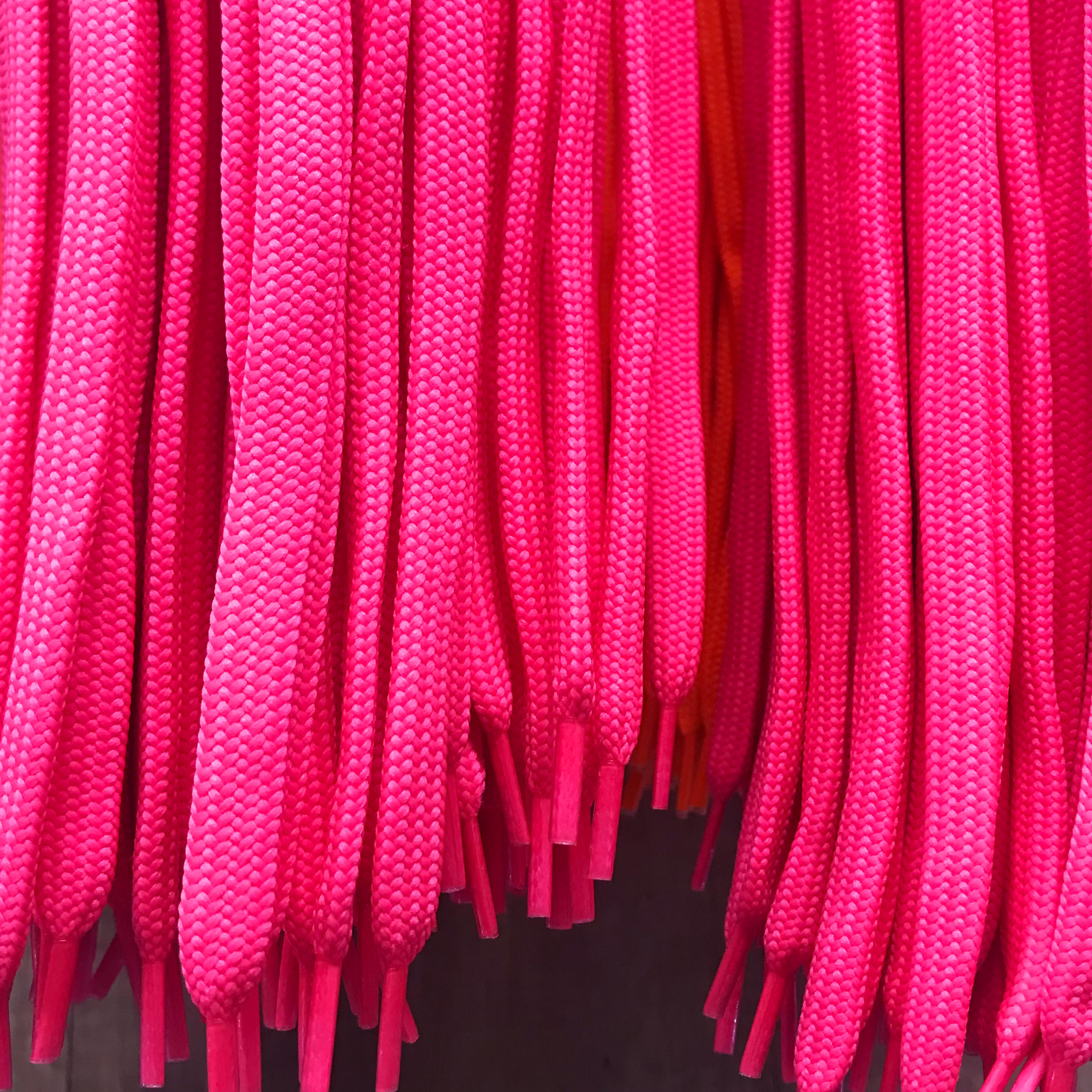 pink-pertle.jpg