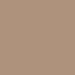 Safari 161310