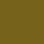 Golden palm 25298